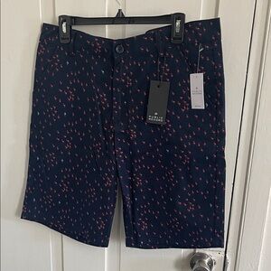 Men's Navy Shorts with Pink Flamingos